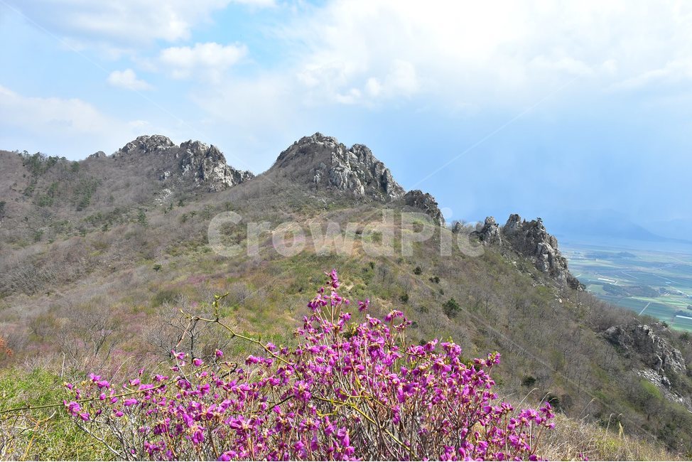 주작산,덕룡산,종주,진달래,풍경,기암,바위,비경,봄풍경,진달래꽃,강진,명산,산행,등산,마운틴,힐링,mountain,landscape,자연,natural,자연,풍경,nature,landscape,한국자연풍경,한국자연경관,korea nature landscape,outdoors,옥외,산,mountain range,산맥