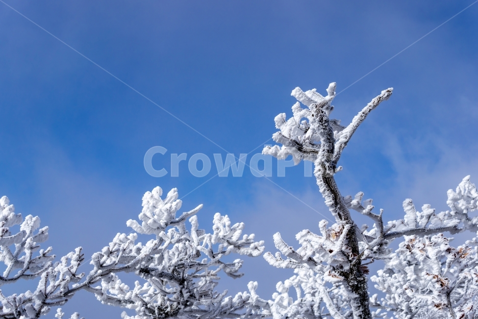 겨울풍경,겨울,눈꽃,눈,자연,풍경,감성,겨울,계절,winter,season,자연,풍경,nature,landscape,outdoors,옥외,snow