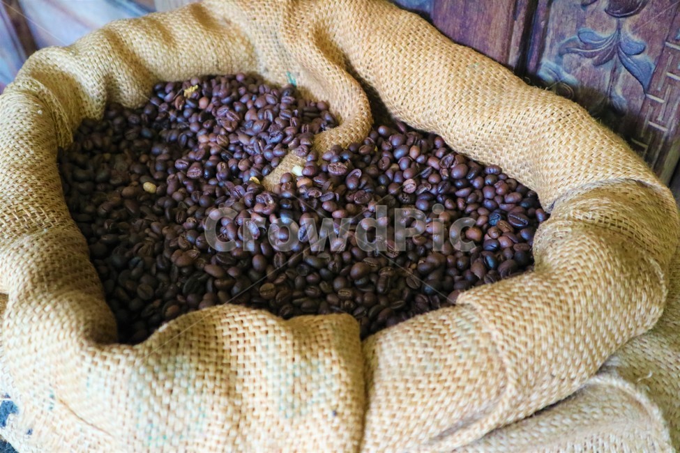 plant,식물,bean,콩,food,식품,produce,생기게하다,lentil,렌즈콩,coffee,커피,커피콩,원두,coffeebean,cafe,카페,커피,카페,coffee,cafe