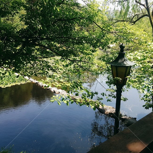 공원,풍경,자연,조화,쉼,휴식,힐링,초록,경관,경치,푸른,숲,park,landscape,scenery,scene,rest