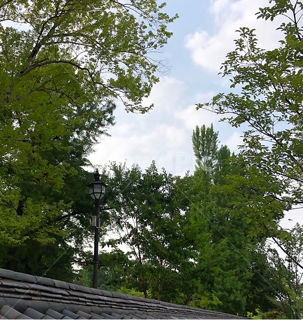 하늘,초록,전주,한옥,기와,풍경