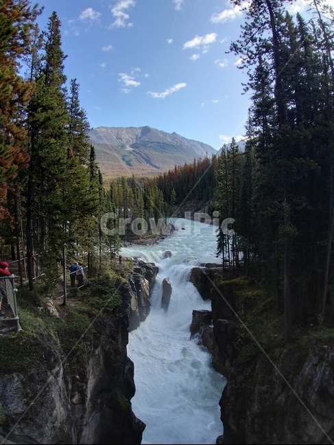 river,강,water,waterfall,폭포,전나무,캐나다,캐나다로키,엄청난수량,폭포수,canada,canadarocky,급류