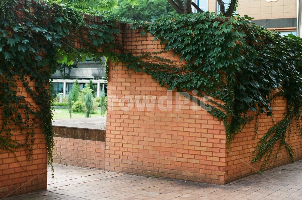 무주,벽돌,입구,빨간벽,미로,담쟁이,필름,건축물,건물외관,exterior,building,structure,architecture,construction