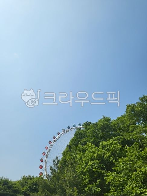 sky,Amusement Park,nature,Ferris wheel,tree,summer