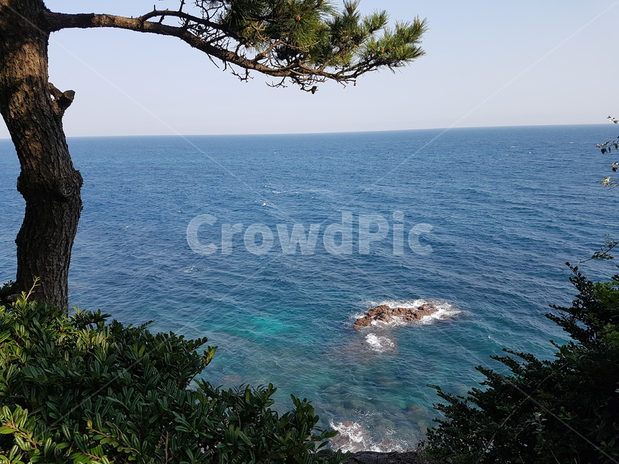제주도,둘레길,바닷가둘레길,산책로,봄,바닷가산책로,자연,풍경,nature,landscape,한국자연풍경,한국자연경관,korea nature landscape,promontory,곶,outdoors,옥외,land,땅,ocean,대양,water,물,sea,바다,shoreline,해안선