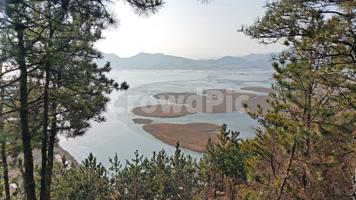 배경,풍경,산,갈대,강,늪,자연,풍경,nature,landscape,plant,식물,tree,나무,fir,전나무,outdoors,옥외,land,땅,conifer,구과 식물
