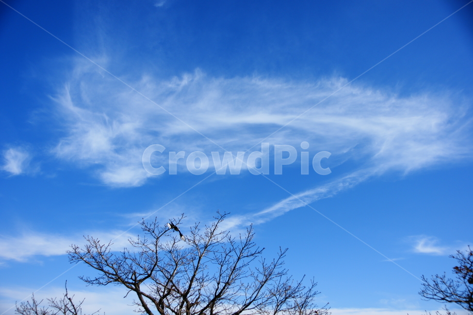 푸른하늘,구름,용구름,하늘,풍경,자연,풍경,nature,landscape,outdoors,옥외,azure sky,푸른 하늘,sky