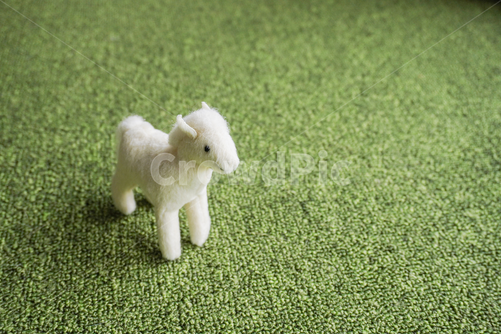 green,toy,baby,horse,white,봄,어린이,장난감,말,인형,흰색,초록,spring,외로움,background,배경