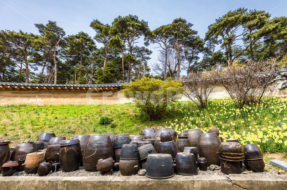 서산유기방가옥,문화재,관광지,장독,전통장독대,전통가옥,전통담장,항아리,명가,옹기,한국전통,한국문화,korean traditional,korean culture