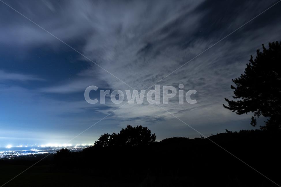 야경,구름,파랑,밤,제주야경,light,dark,나무,tree,nature,자연,outdoors,옥외,자연,풍경,nature,landscape