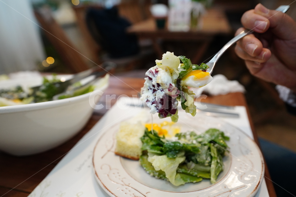 샐러드,salad,색감,아보카도,야채,채소,계란,건강,식단,식사,음식,푸드,접시,컬러,외식,건강,헬스웨어,헬스케어,healthware,health care,음식,식재료,요리,food,cook,meal,dishes,food reserves