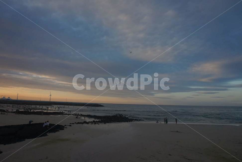 wind generator,Coast,Beach,ocean,Serenity,walk