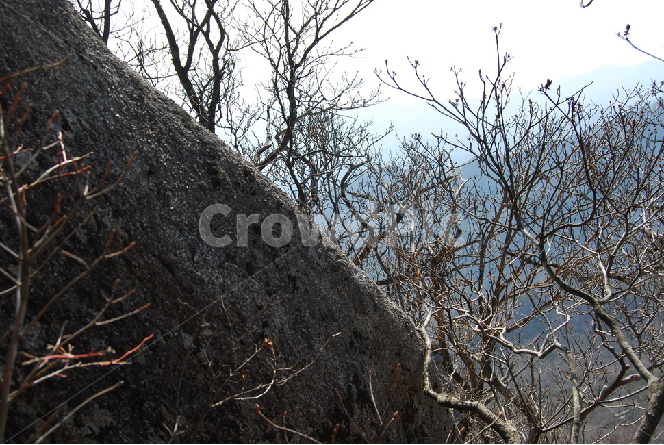 봄,spring,탐방로,trail,tree,나무,휴양지,자연,풍경,nature,landscape,plant,식물