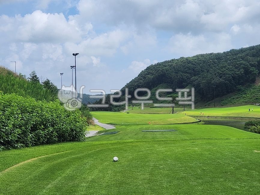 페어웨이,골프장,그린필드,field,자연,스포츠,골프