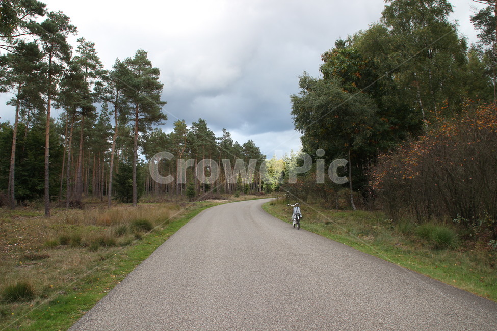 네덜란드,크뢸러뮐러박물관,길,netherlands,krollermullermuseum,road,자연,풍경,nature,landscape,도로,gravel,자갈,dirt road,흙길,asphalt,아스팔트,bicycle,자전거,vehicle,차량,bike,transportation,교통