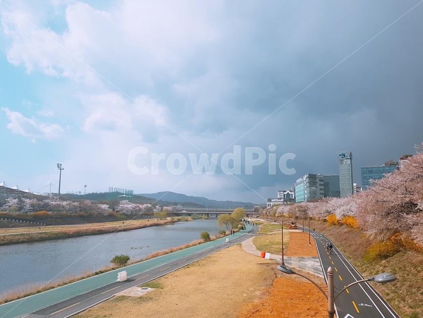 공원,산책,벚꽃,봄,산책로,봄,계절,spring,season,도시,풍경,city,landscape,한국도시풍경,한국도시경관,korea cityscape,water,물,road,도로