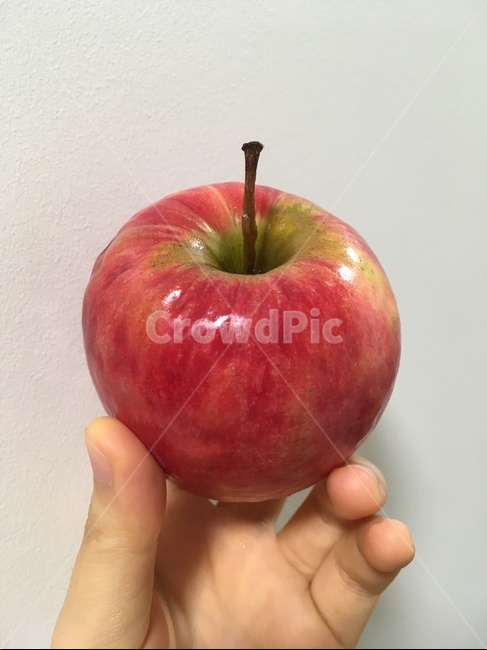 사과,빨간색,빨간맛,과일,손
