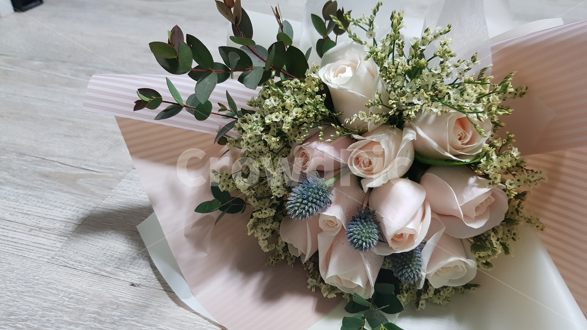 plant,식물,꽃꽂이,꽃다발,장미,꽃부케,flowerbouquet