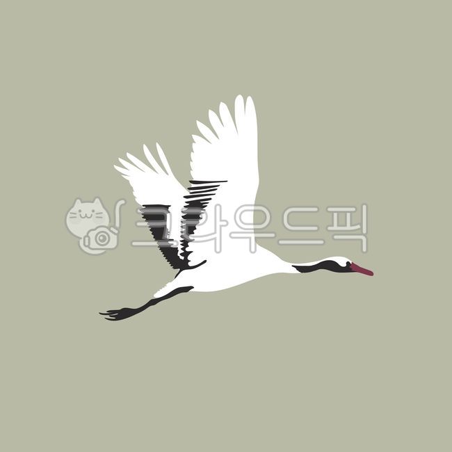 새, 학, 날개, 자연, 두루미, 사진,이미지,일러스트,캘리그라피 - WildTraveler작가