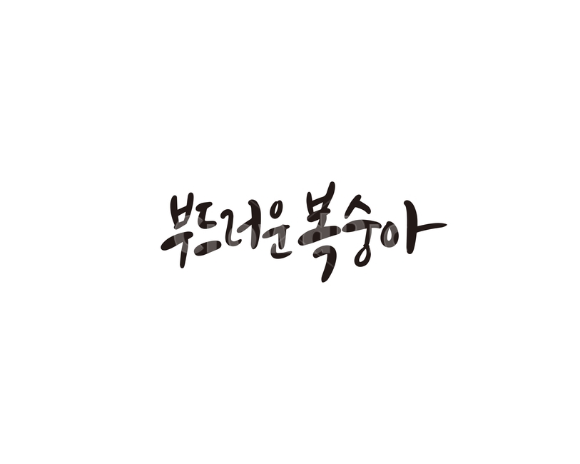 캘리,과일,fruit,복숭아,부드러운,캘리그라피,손글씨,그래픽,일러스트레이션,graphic,illustration,캘리그라피,손글씨,calligraphy