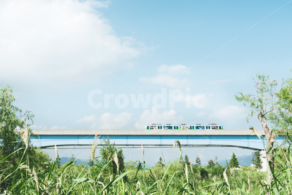 풍경,색감,파스텔,하늘,계절,여름,구름,잔디,감성,초록,sky,color,pastel,summer,green,자연,landscape,열차,기차,nature,여름,계절,summer,season,감성,sensible,feeling,색깔,색상,색채,색감,color sense,color sensitivity,feeling of color,교통,교통수단,traffic,transportation,grass,plant,식물