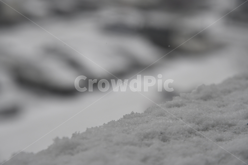 겨울,눈,시원,뽀드득,한겨울,겨울,계절,winter,season
