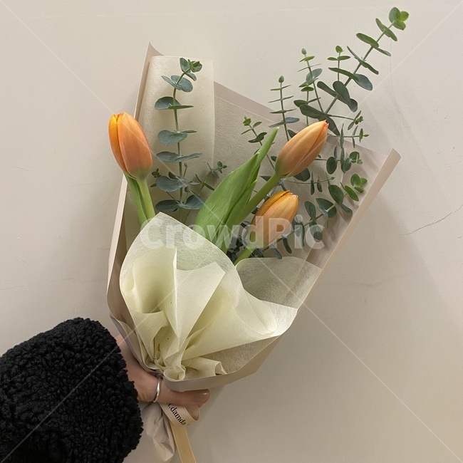 꽃,flower,blossom,plant,식물,인간,human,person,사람,기념일,축하,anniversary,congratulation,celebrate,celebration