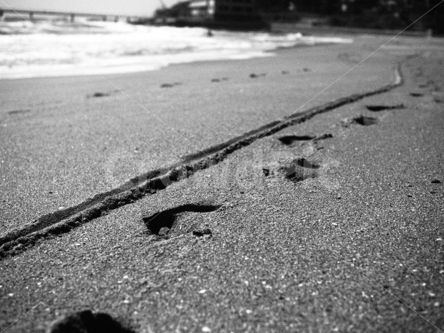 바다,해변,송정,발자국,바닷가,서핑,흑백,흑백사진,해변,바다,beach,sea,흑백,모노톤,monochrome,black and white