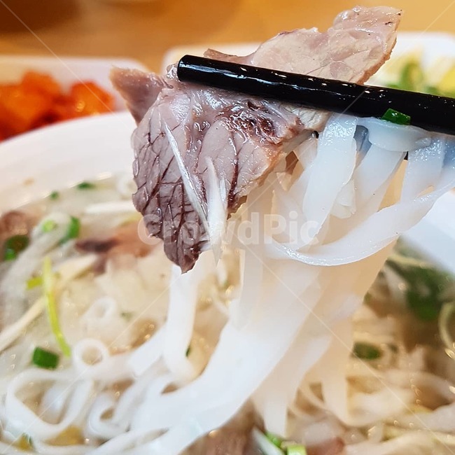 쌀국수,베트남,베트남쌀국수,고수,국물,메뉴,식사메뉴,먹거리,맑은국물,국수
