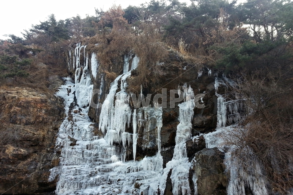 폭포,겨울,인공폭포,고드름,추위,계절,cold,winter,season,waterfall,chilly,icewaterfall,풍경,배경,계절풍경,background,ice,water,reflection,반영,겨울풍경,빙벽,풍경사진,폭포마당,서대문폭포마당,결빙,눈,icicle,차가움,투명한고드름,겨울,계절,winter,season,자연,풍경,nature,landscape,outdoors,옥외,snow,눈