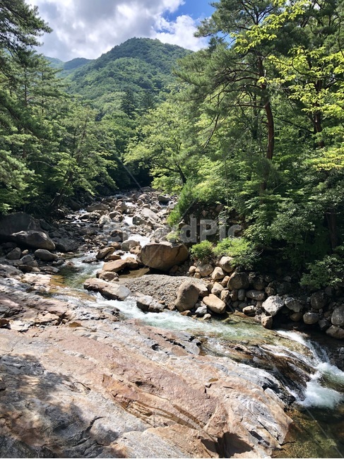 계곡,지리산,지리산계곡,대원사계곡,여름,자연,풍경,nature,landscape