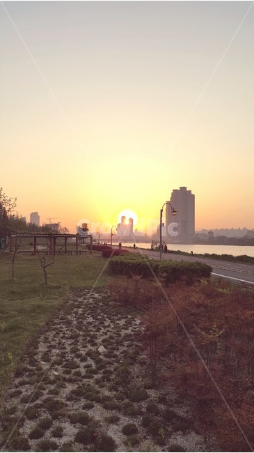가로등,태양,건물,강,길,도시,풍경,city,landscape,light,빛,flare,플레어,nature,자연,outdoors,옥외,sunlight,햇빛