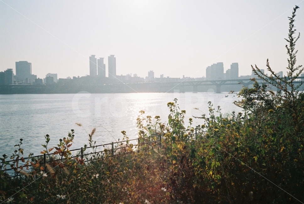 가을,film,감성,빛,한강,태양,하늘,계절,온도,도시,풍경,city,landscape,한국도시풍경,한국도시경관,korea cityscape,감성,sensible,feeling,nature,자연