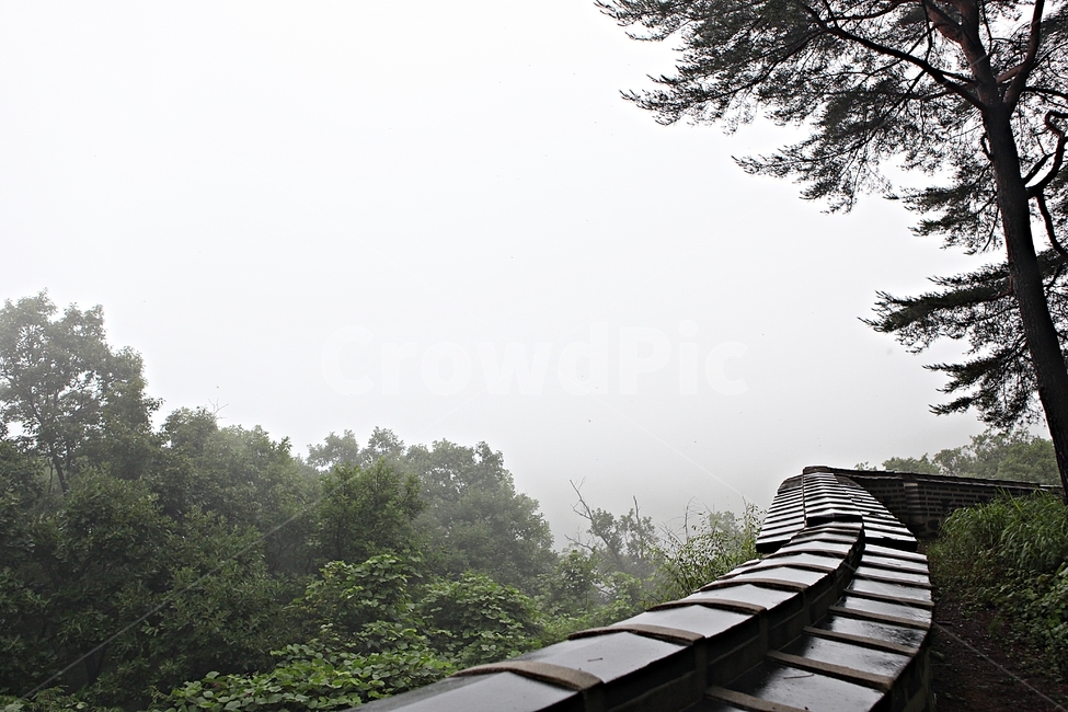 남한산성,성,성곽,숲,숲길,길,둘레길,안개,돌담,담,벽,여름,풍경