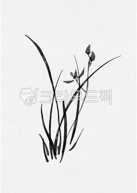 I,the four noble plants,orchids,oriental painting,Korean painting,ink,rice paper,painting
