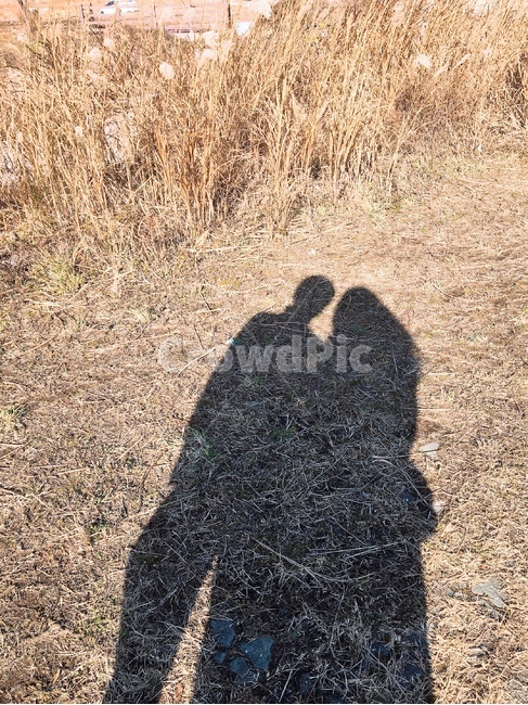그림자,남여,억새풀길,인생샷,흙길