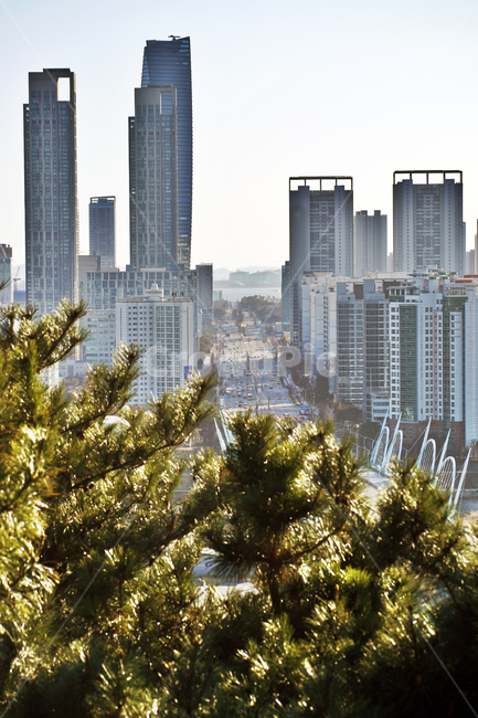 송도,신도시,인천,도시,아파트,도심,건물,도시,풍경,city,landscape
