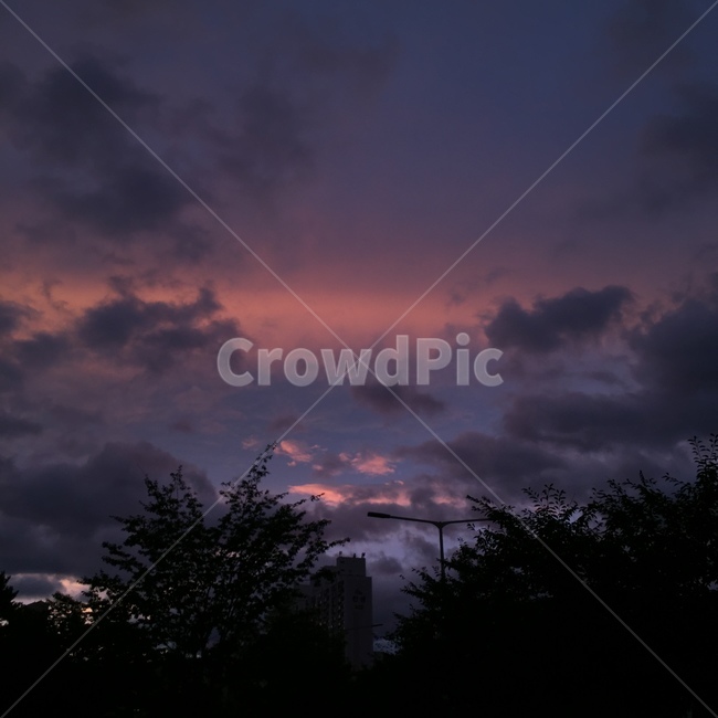 하늘,노을,분홍노을,보라노을,가을하늘,구름,sky,sunset,감성,배경화면,자연,날씨,nature,weather,purple,pink,흐린하늘,흐린노을,자연,풍경,nature,landscape,outdoors,옥외