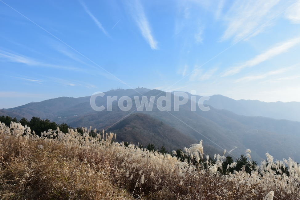 유명산,마유산,억새,가을,풍경,자연,하늘,감성,힐링,아름다운,구름,파란,가을,계절,fall,autumn,season,자연,풍경,nature,landscape,outdoors,옥외,mountain,산,mountain range,산맥,grass,잔디,plant,식물