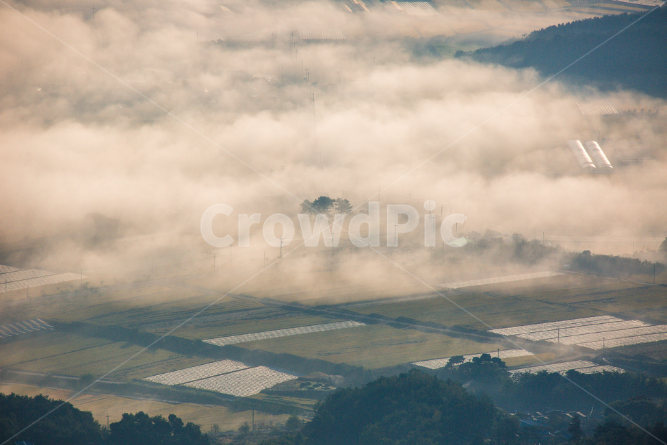 운해,들판,아침들판,안개,가을들판,자연,풍경,nature,landscape,시골,마을,country,rural,town,경치,outdoors,옥외,scenery