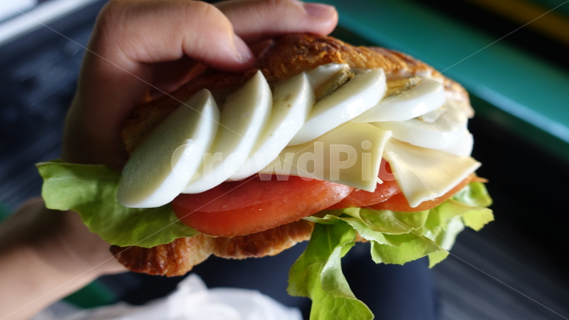 food,음식,샌드위치,계란,크로와상