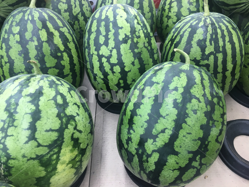 수박,여름,과일,여름과일,시원한,watermelon,summer,cool,fruit,달콤한