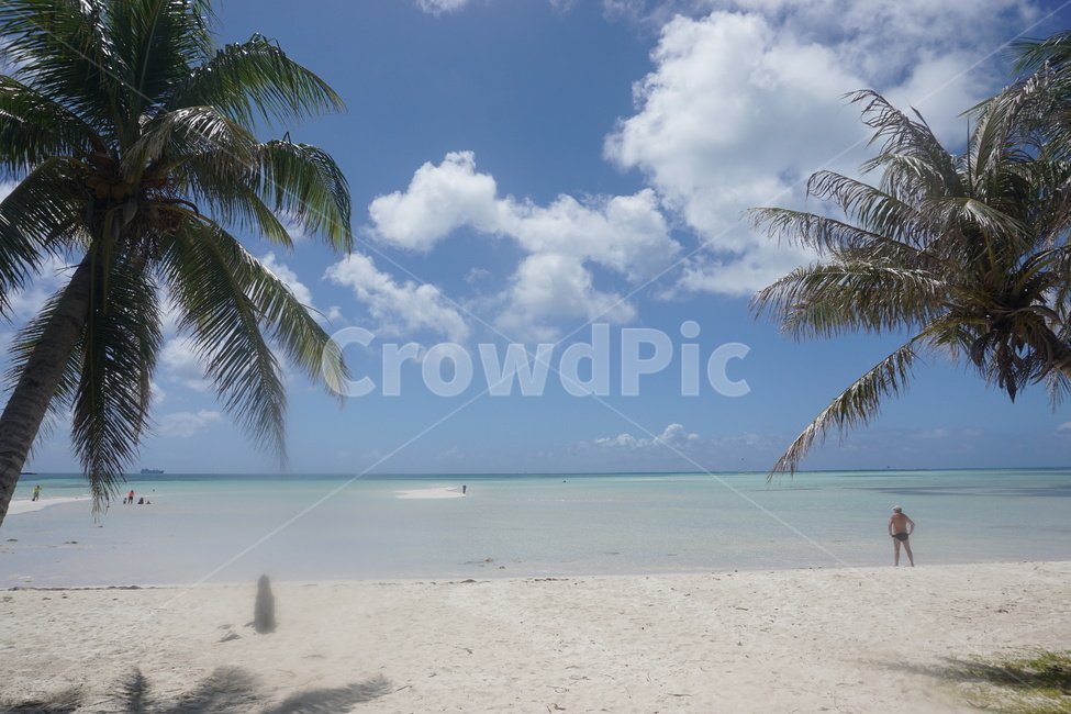 summer,여름,사이판,하늘,야자수,해변,바다,beach,sea