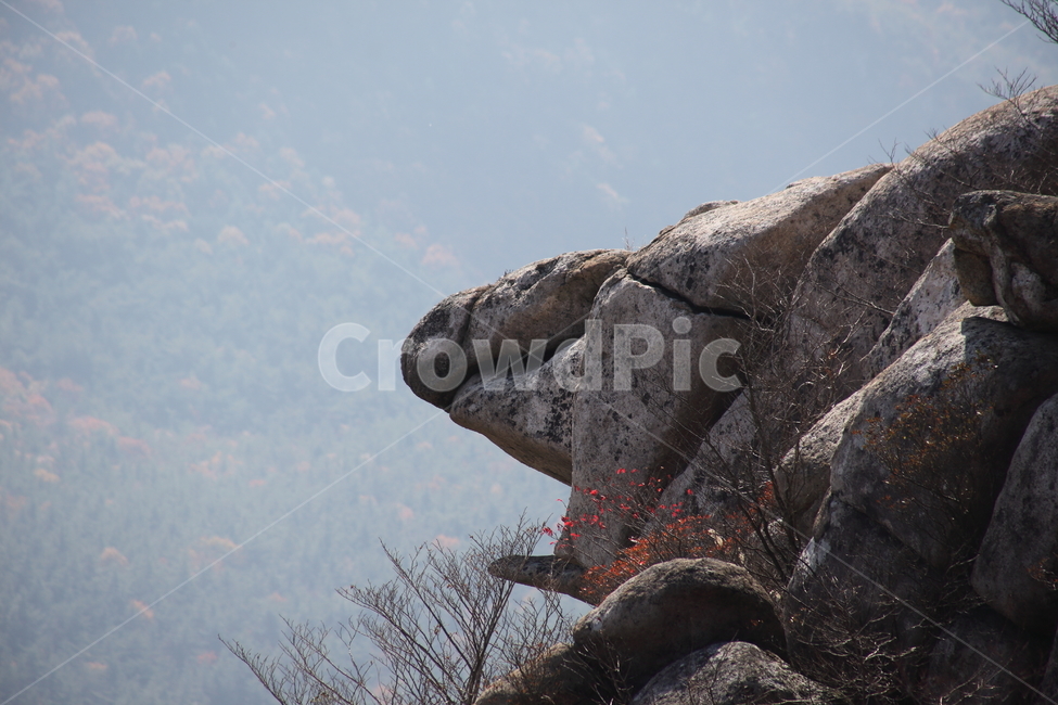 금산,바위,남해,rock,자연풍경,남해금산,자연,풍경,nature,landscape