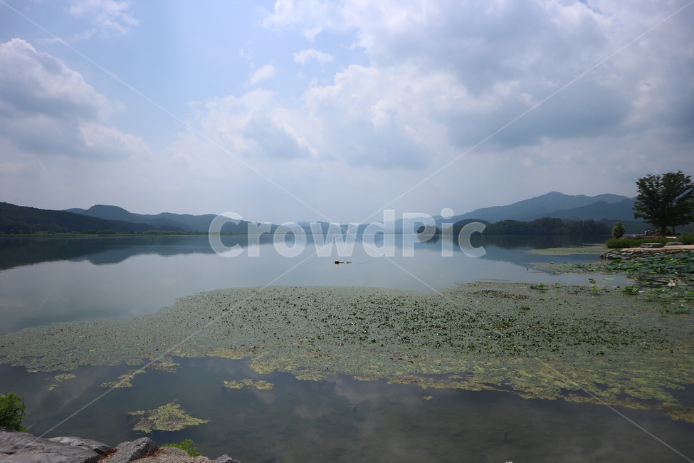 lotus,clouds,summer,cloud,healing,mountain,sight,vacation,Yangpyeong,sky,gyeonggido,nature,Dumulmeori,tree,Lotus,water,rivel,korea,natural scenery,river,lake,walk,landscape