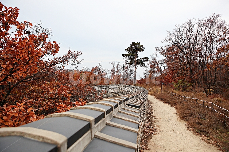 남한산성,성,성곽,단풍,낙엽,길,둘레길,숲,숲길,담,돌담,가을,자연,풍경,벽,울긋불긋,산성,식물,가을,계절,fall,autumn,season,한국전통,한국문화,korean traditional,korean culture,tree,나무,plant