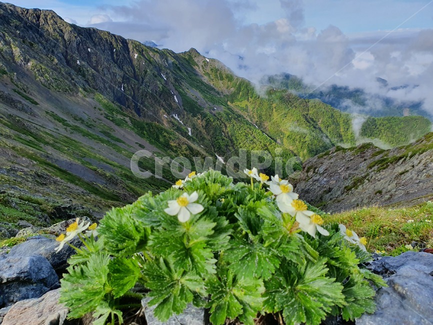 식물,자연,경치,풍경,산,산맥,경사,slope,mountainrange,트레킹,자연,풍경,nature,landscape