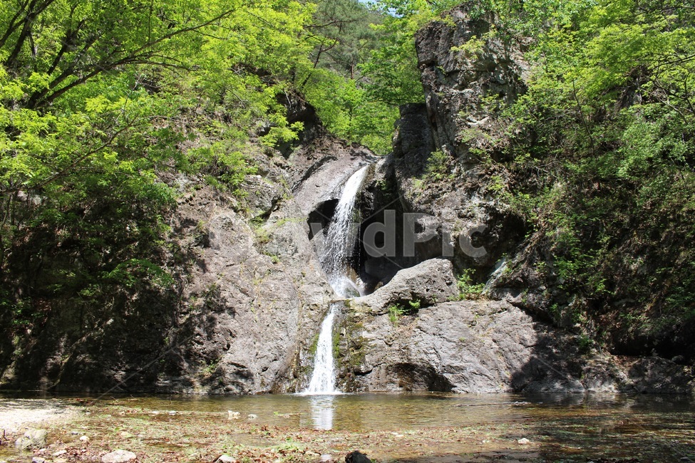 폭포,계곡,여름,시원한,waterfalls,summer,fresh,cold,water,물,나무,자연,nature,주왕산폭포,주왕산,물줄기,자연,풍경,nature,landscape,한국자연풍경,한국자연경관,korea nature landscape,outdoors,옥외,river,강,waterfall
