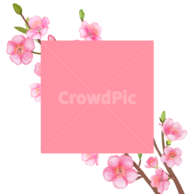 deco,Cherry Blossom,advanced,bright,shopping mall,discount,spring,spring flowers,petal,premium,leaves,design,advertisement,season,visual,flower border,event,vip,flower frame,decoration,gay,border,Cover Edit,brochure,nature,edit,invitation,spring illustrat