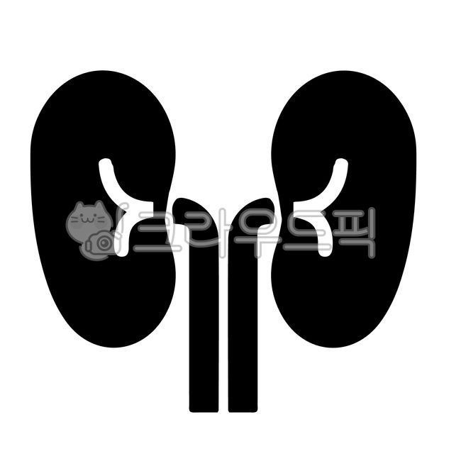 신장,콩팥,신장객체,콩팥객체,신장아이콘,콩팥아이콘,장기,인체장기,신장그림,콩팥그림